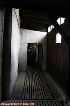 IMG_ (10822)